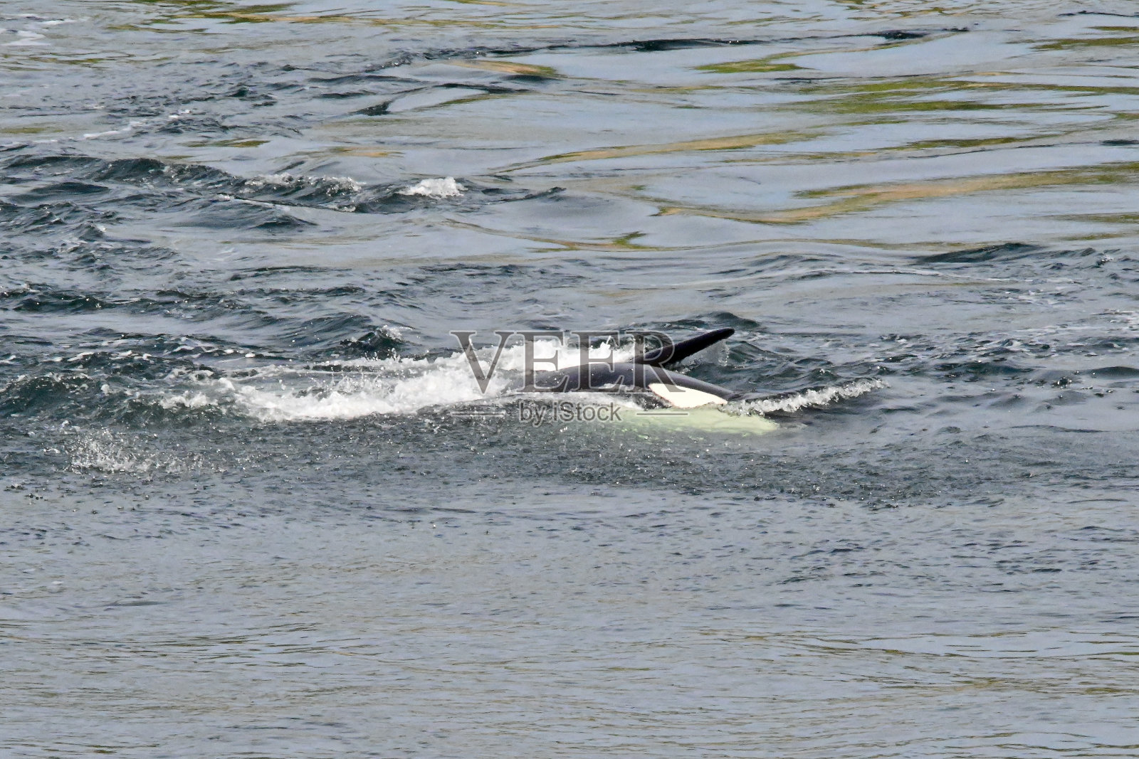 黑莓J27照片摄影图片