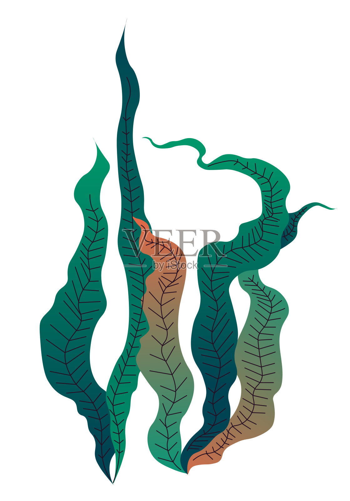 装饰海藻和植物水族馆矢量插画图片素材