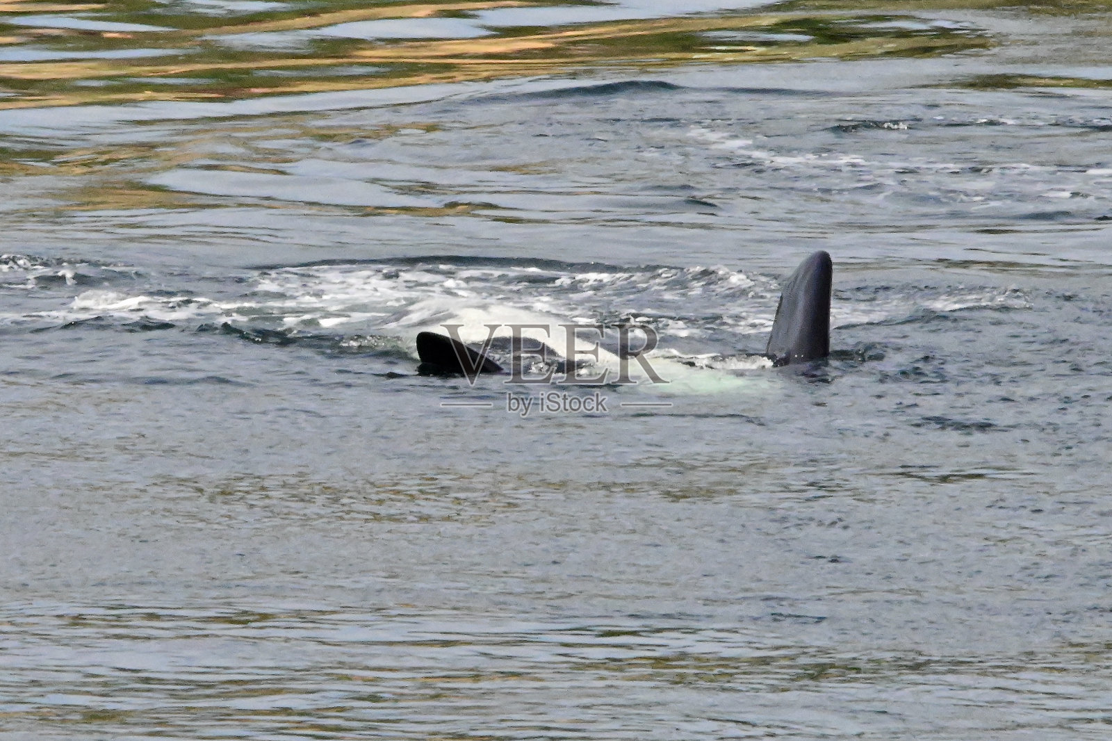 黑莓J27照片摄影图片