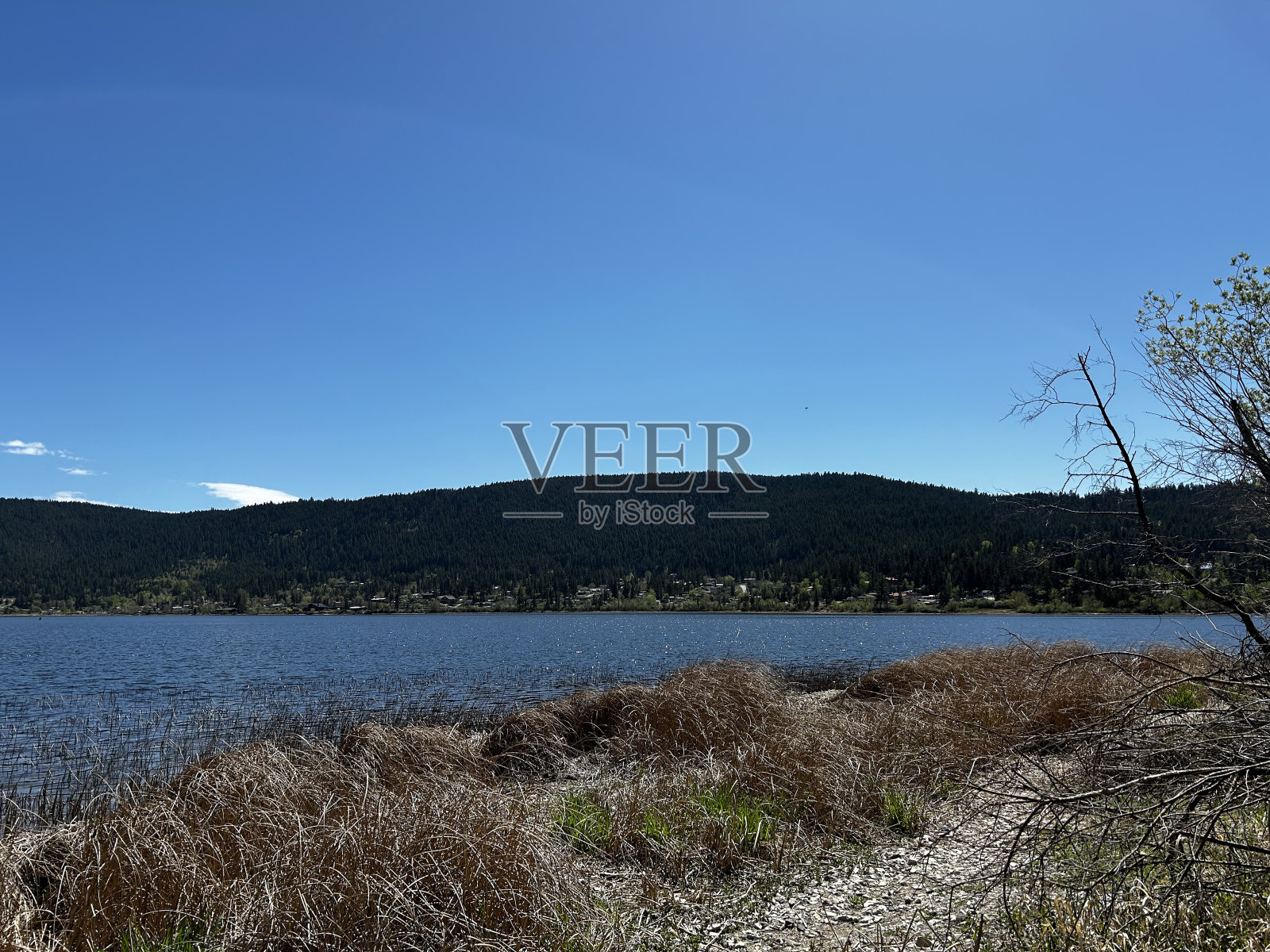 威廉姆斯湖照片摄影图片