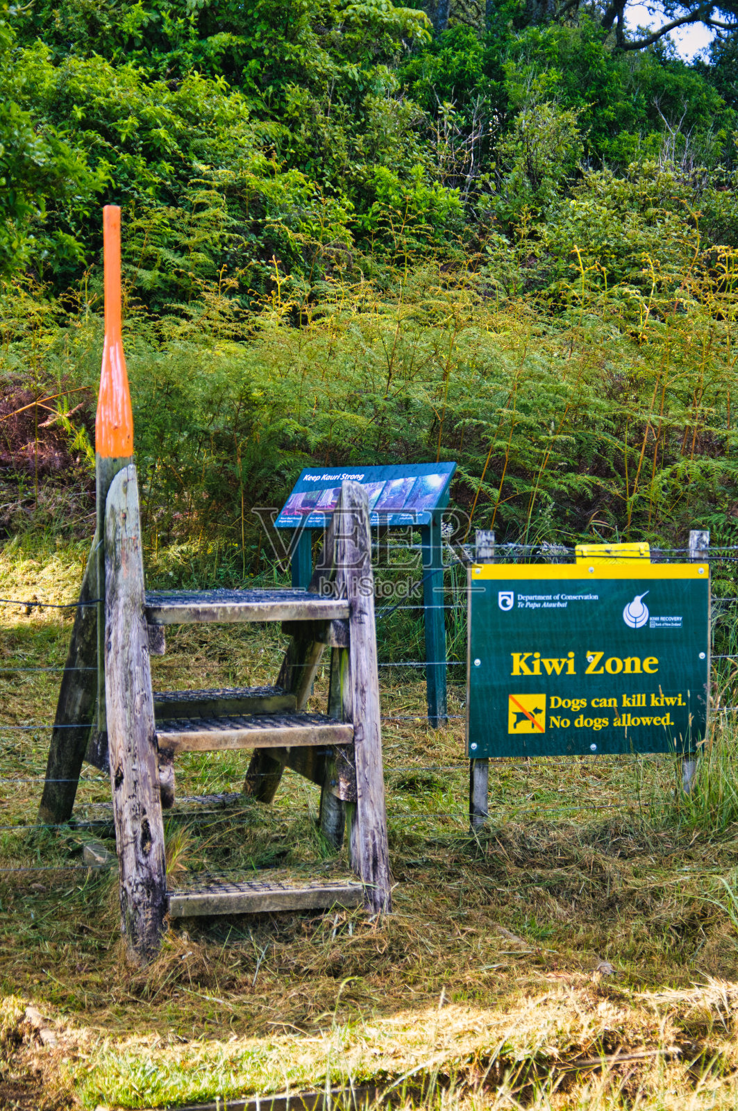 还有一个几维鸟保护区的标志，表示新西兰的几维鸟保护区照片摄影图片