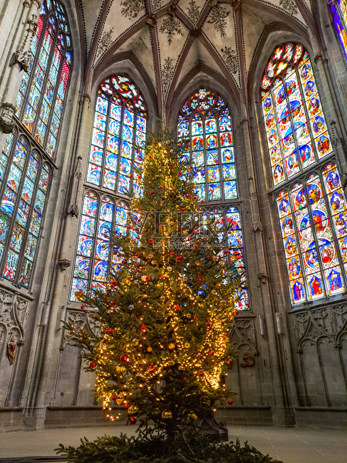 瑞士伯尔尼大教堂内的圣诞树照片摄影图片