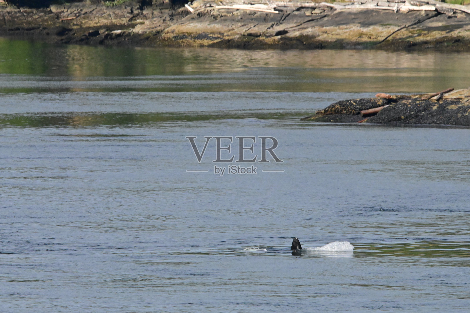 黑莓J27照片摄影图片