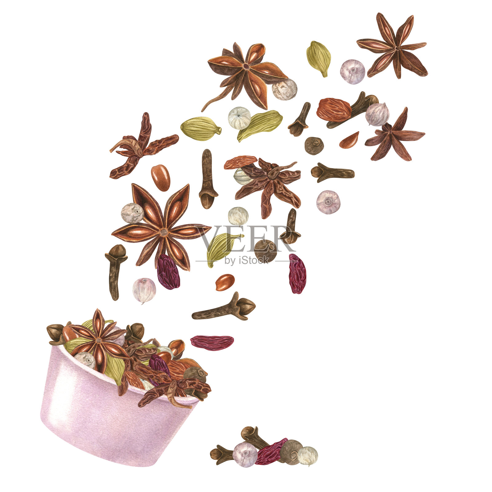 将小豆蔻，八角茴香，丁香，葡萄干和白胡椒放入粉色碗中。馥郁的冬季香料香气飞扬。香味原料，圣诞饮料和面包店。有机食品。水彩插图孤立在白色插画图片素材