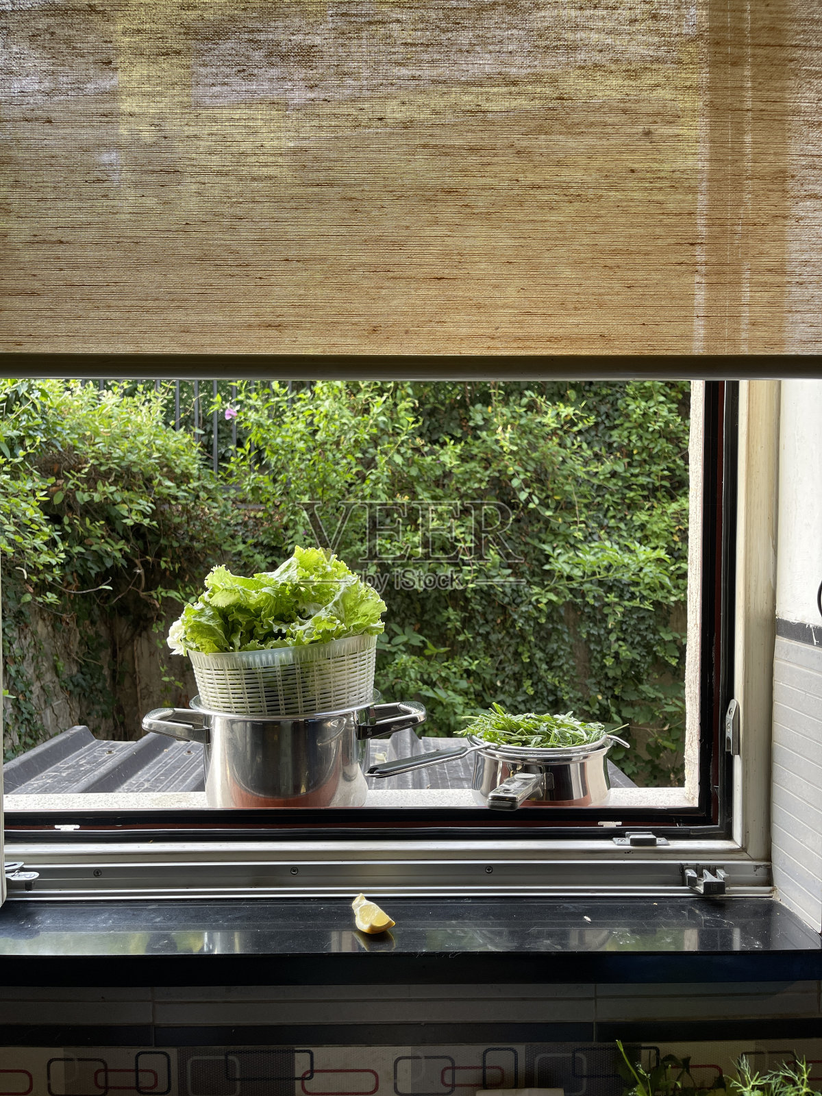 绿色的夏天照片摄影图片