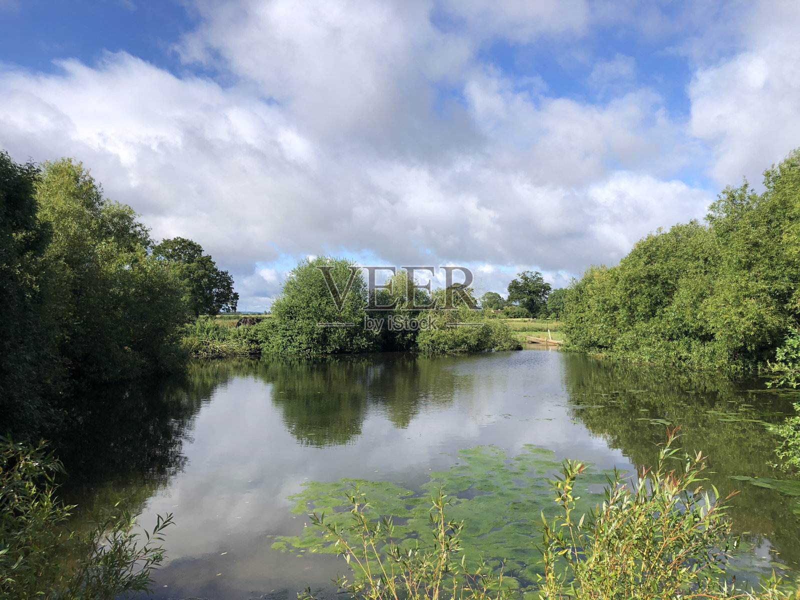 在法国萨尔特，树木之间的一个池塘，蓝天白云照片摄影图片