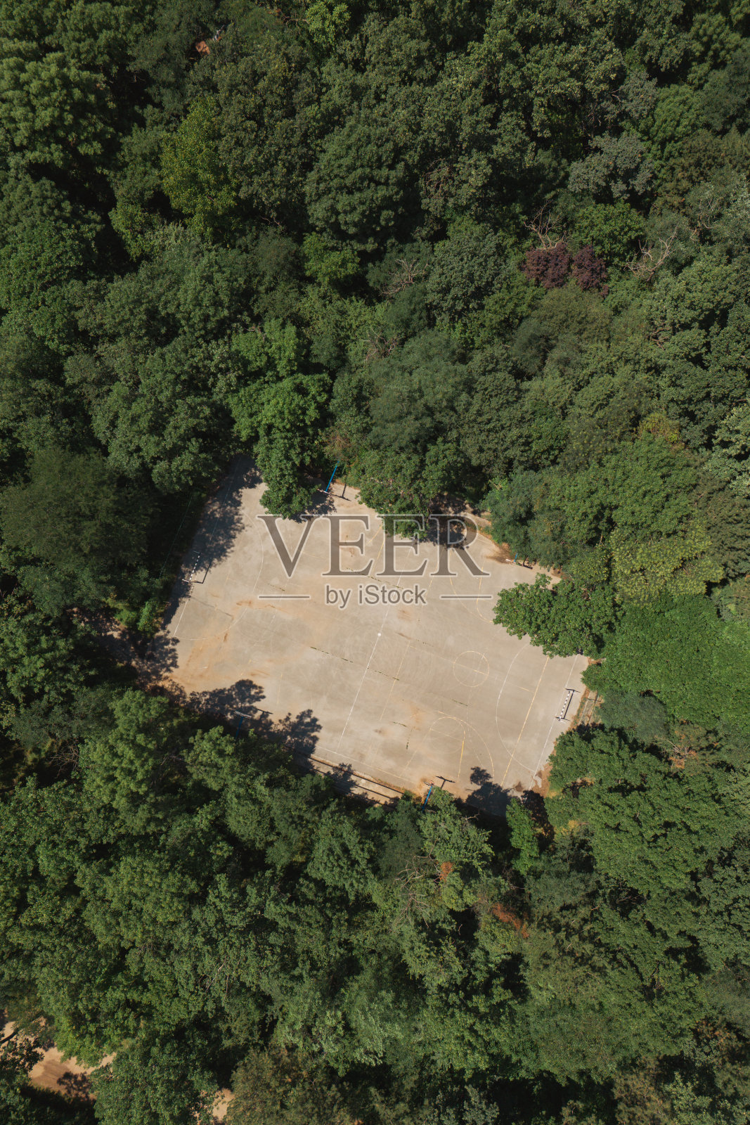 篮球场在森林的中央照片摄影图片