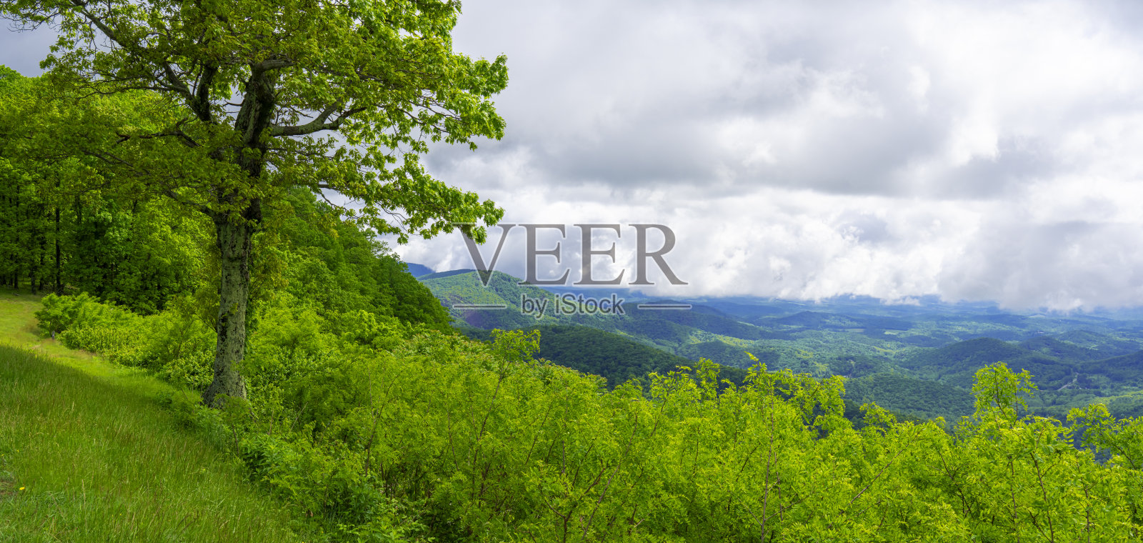 俯瞰蓝岭公园大道，智能视图照片摄影图片