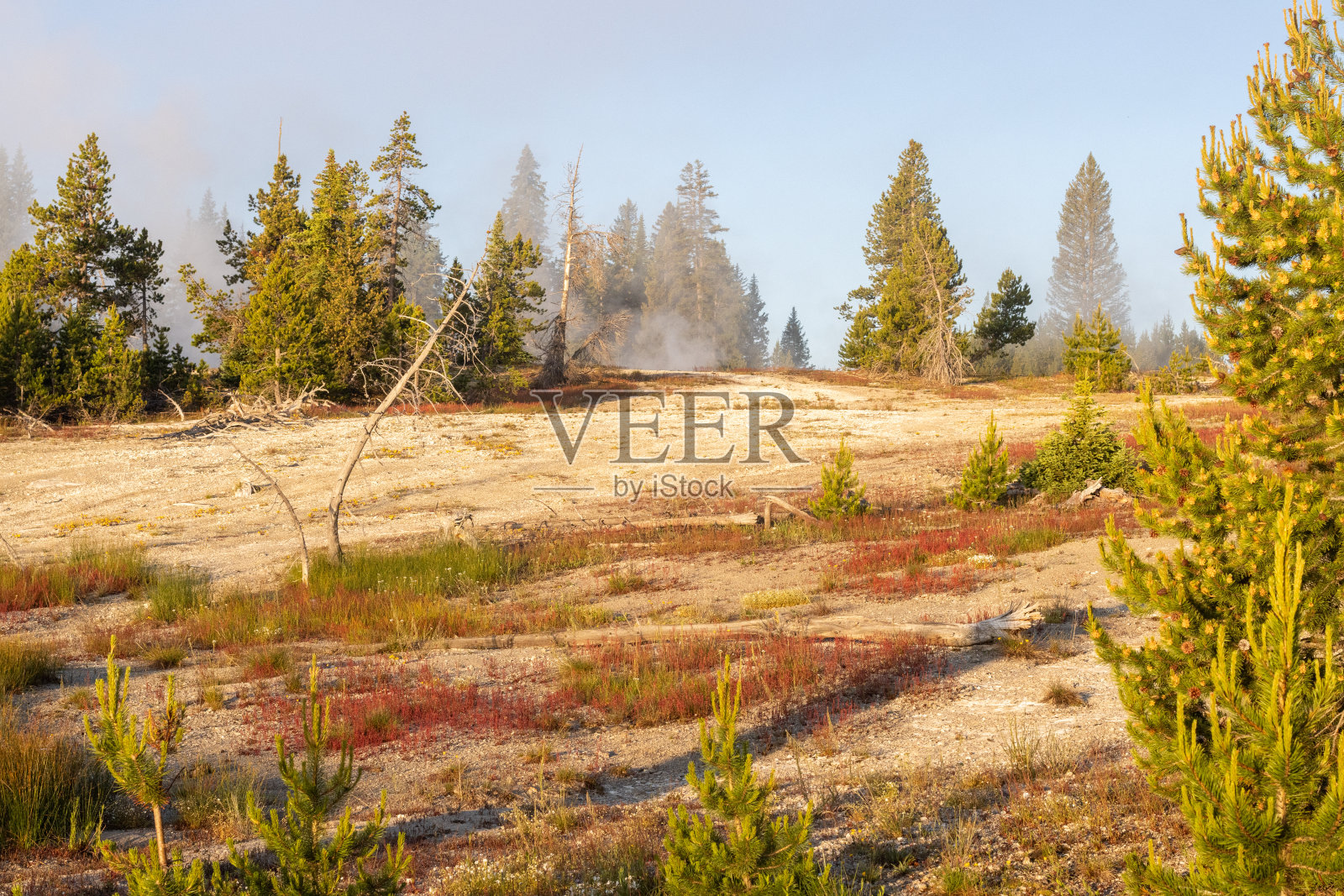 怀俄明州黄石国家公园的西拇指间歇泉盆地照片摄影图片