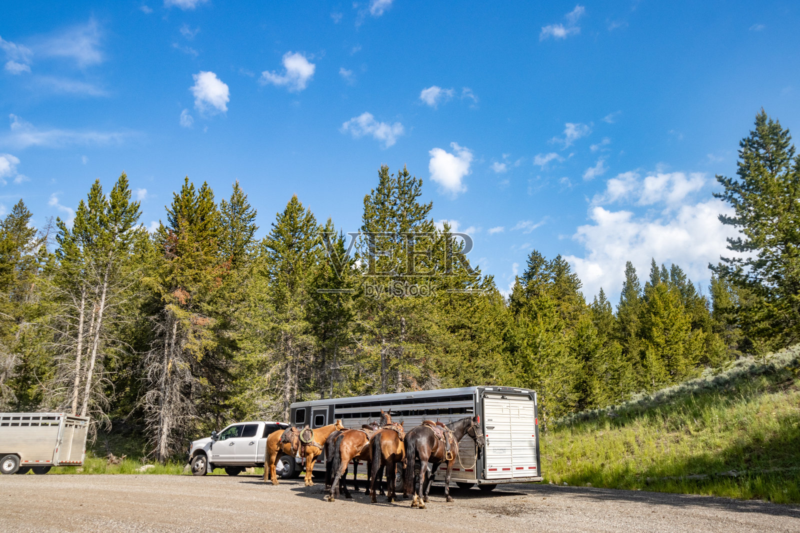 在怀俄明州的黄石国家公园骑马照片摄影图片