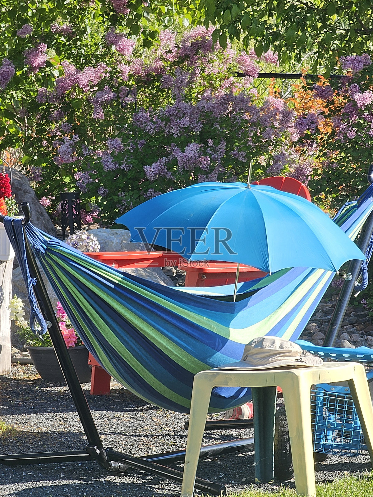 退休照片摄影图片