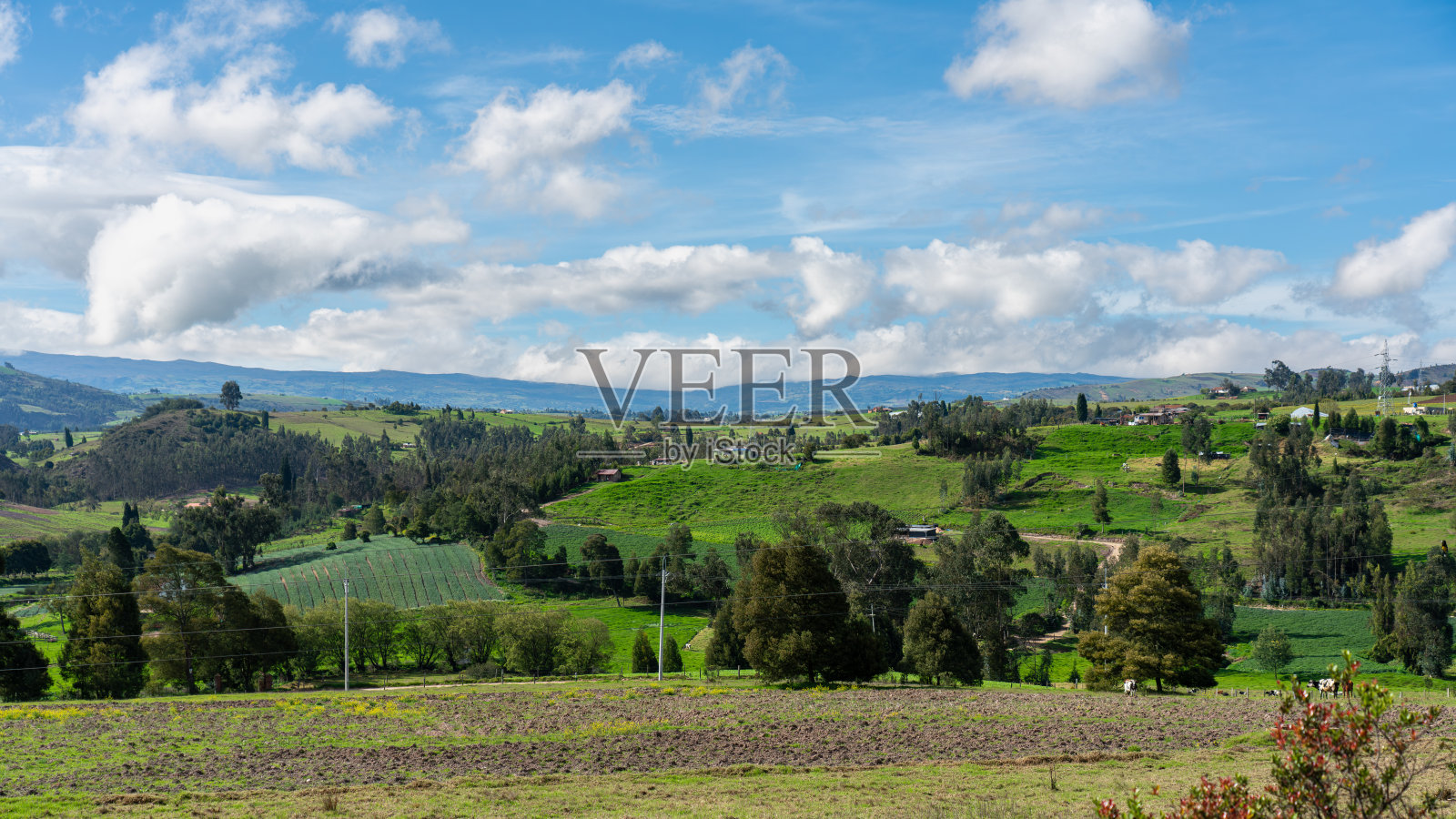 哥伦比亚农田景观全景图。照片摄影图片