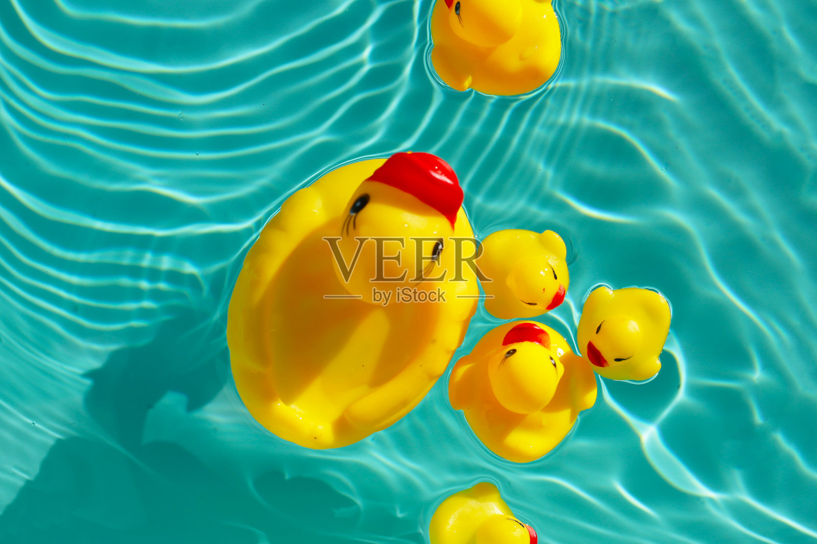 蓝水里的橡皮鸭照片摄影图片