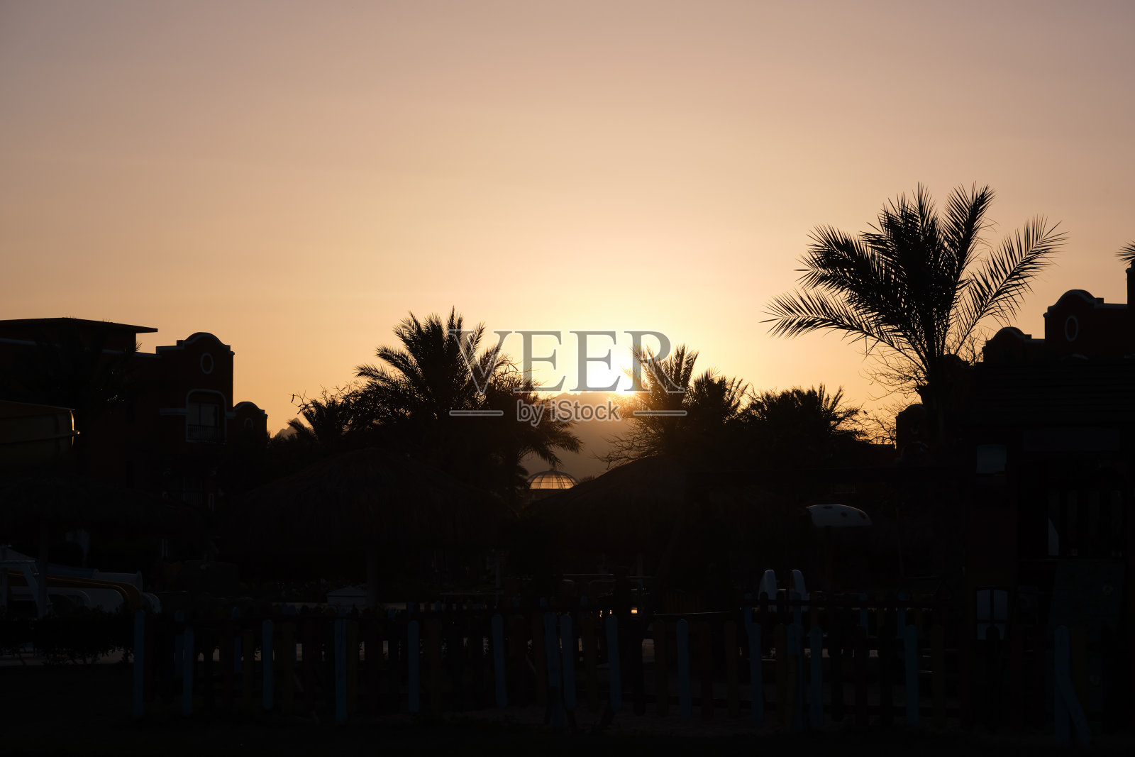 热带海滩上美丽的绿色椰子树映衬着夜空。暑假概念照片摄影图片