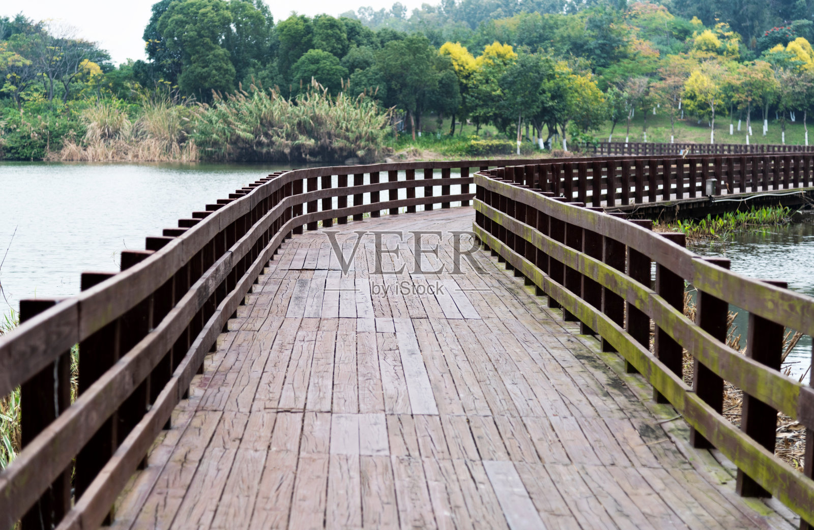 湖上的木桥照片摄影图片