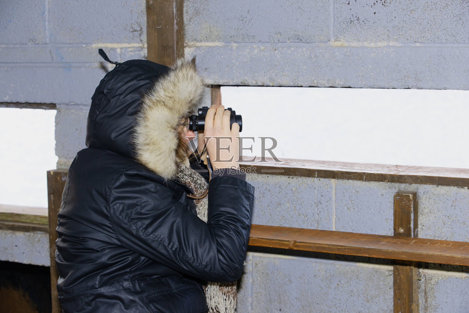 2024年1月，在斯普罗特布罗闪光灯观鸟。照片摄影图片