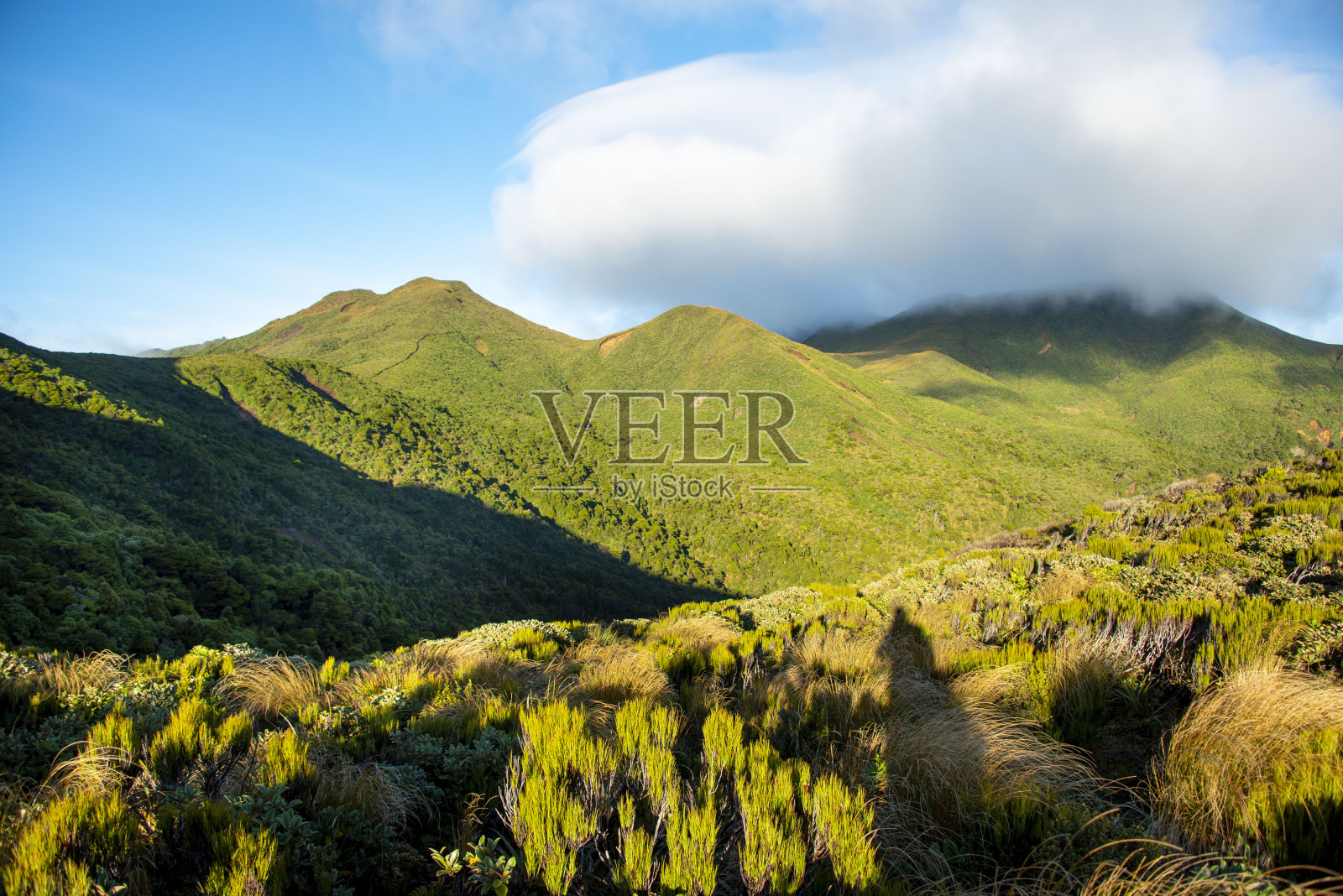 Pouakai Tarns Track照片摄影图片