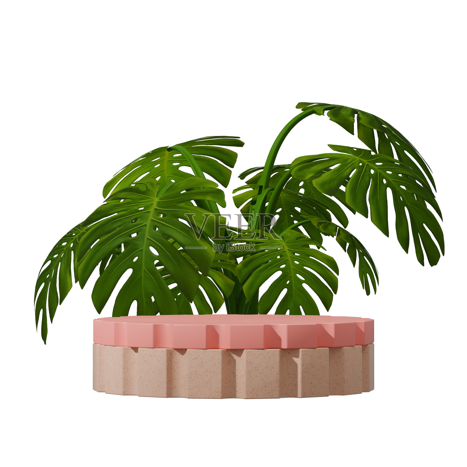 3d图像渲染透明的粉红色背景和水磨石讲台在广场与怪物植物照片摄影图片