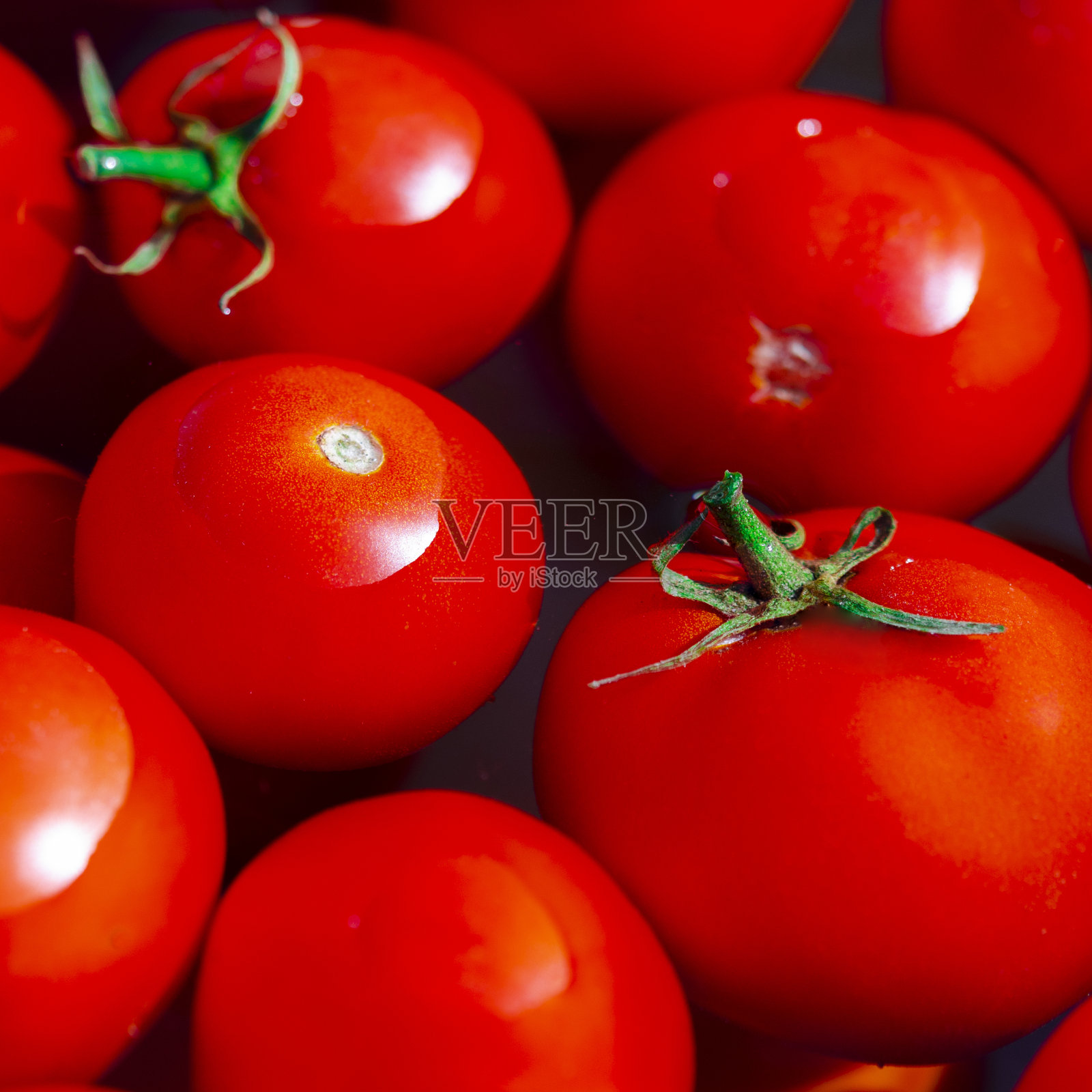 圆形的红色西红柿放在一盆水里就可以保存了照片摄影图片