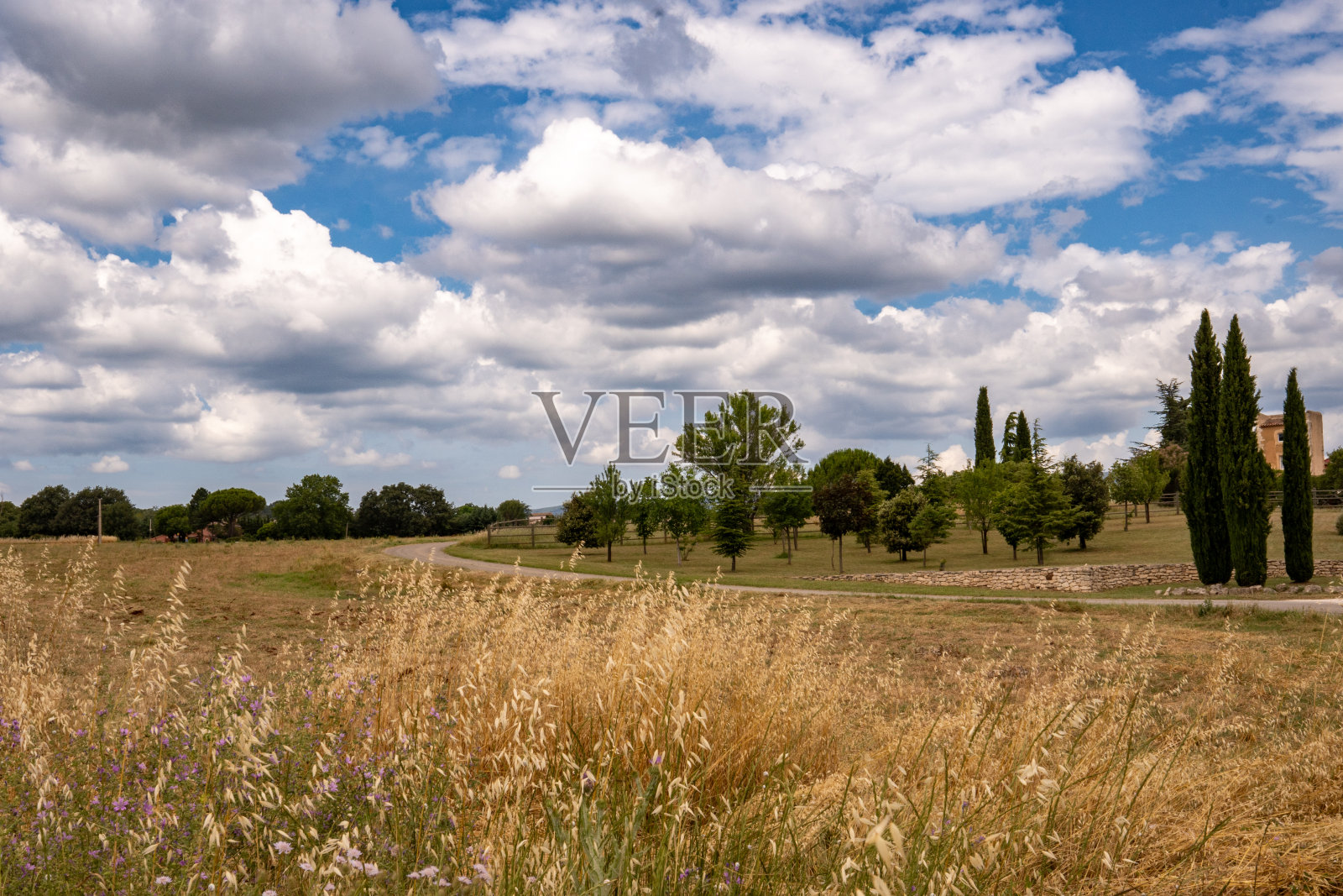 典型的法国南部全景景观。普罗旺斯吕贝隆的草地、田野、树木和柏树。蓝天白云照片摄影图片