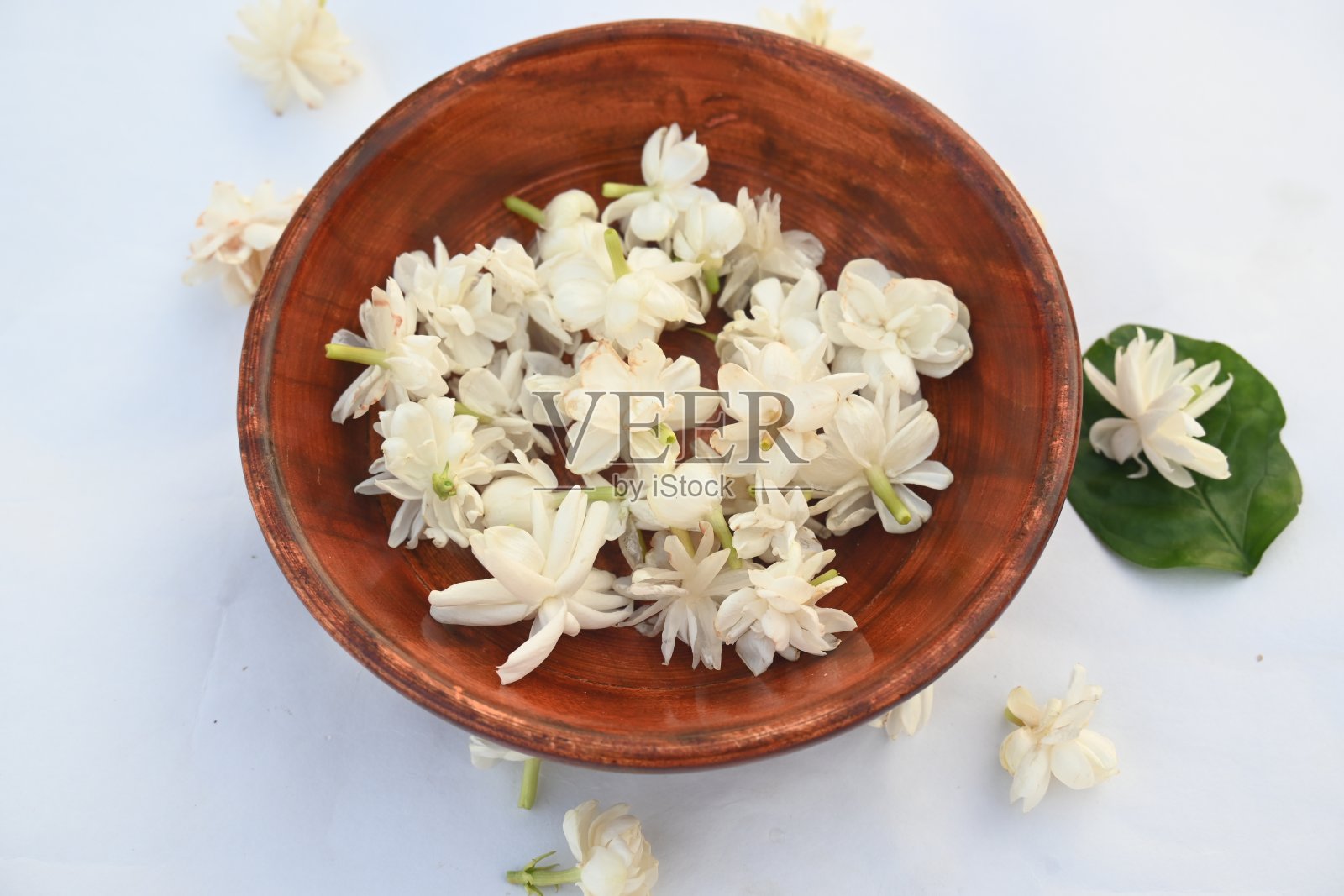 茉莉花。照片摄影图片