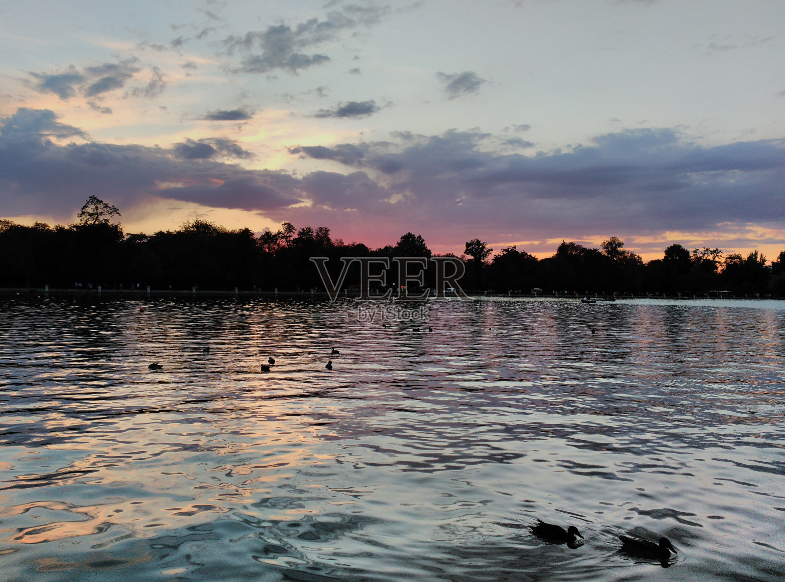 西班牙马德里丽蒂罗公园的池塘照片摄影图片