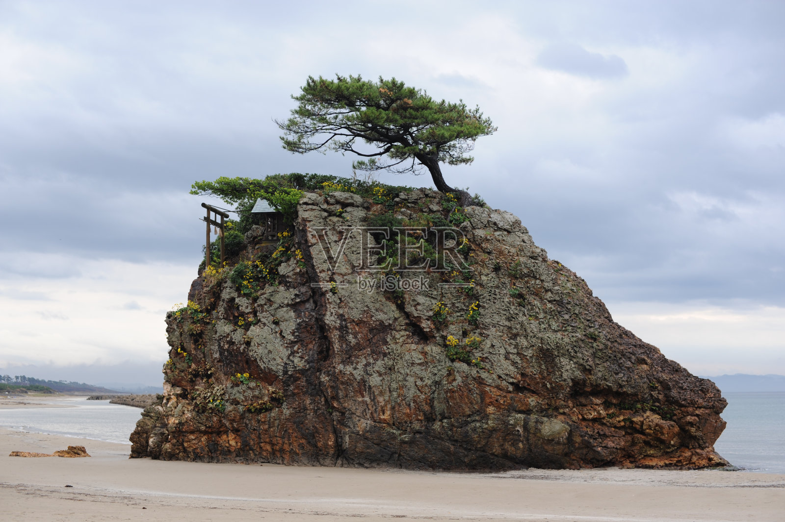出云岩石，孤独的松树和鸟居神社门在Inasa海滩出云镇，岛根县，日本，亚洲照片摄影图片