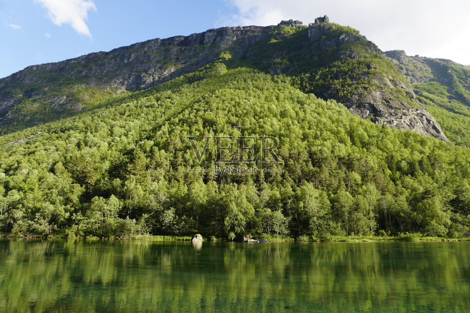挪威的风景。峡湾边缘的河的美丽景色。山脉和森林。在水中的倒影。照片摄影图片
