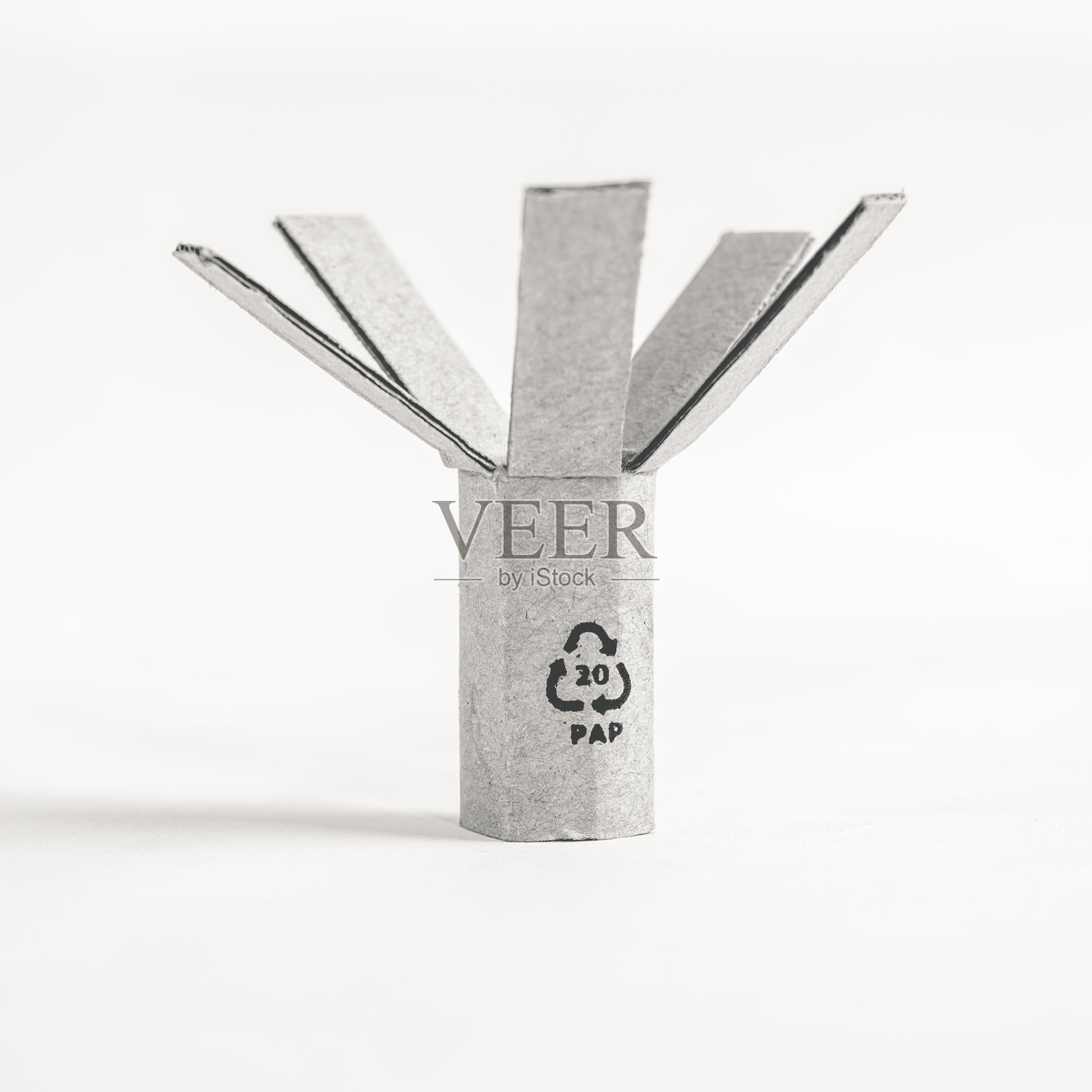 纸板树(循环再造及可循环再造纸)照片摄影图片