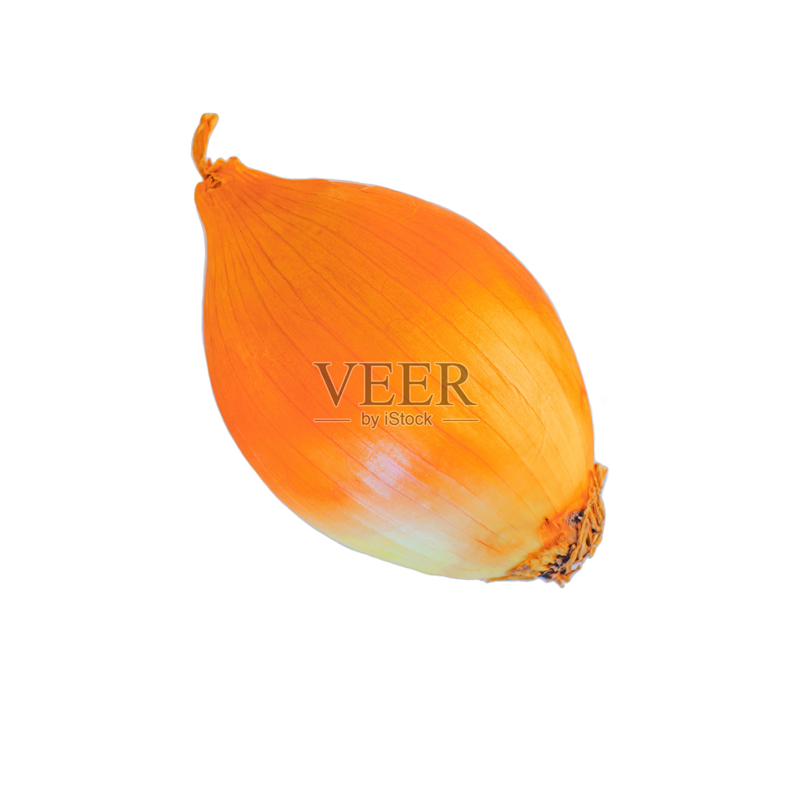 一个长椭圆形的白洋葱头，有着明亮的橙黄色表皮，孤立在白色的背景上，没有影子。设计空白照片摄影图片