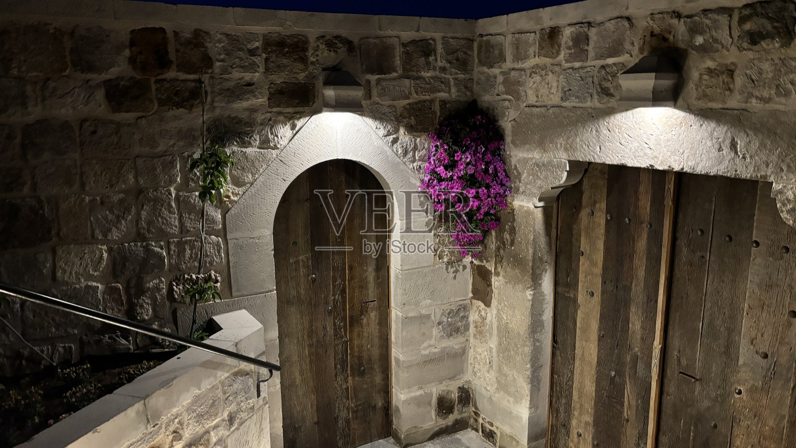 花照片摄影图片