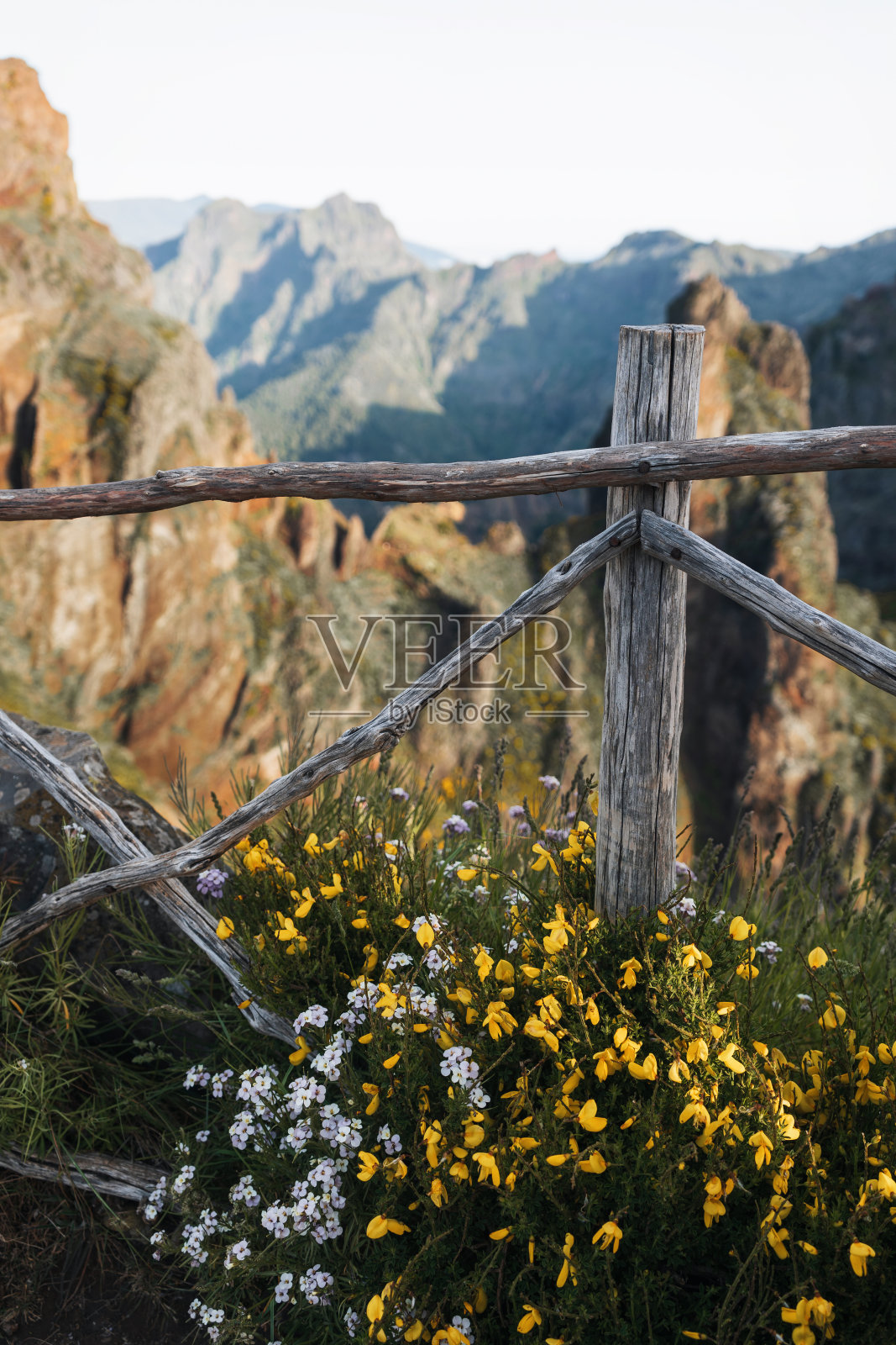 马德拉岛的山脉。这是去皮科鲁伊沃峰的路线照片摄影图片