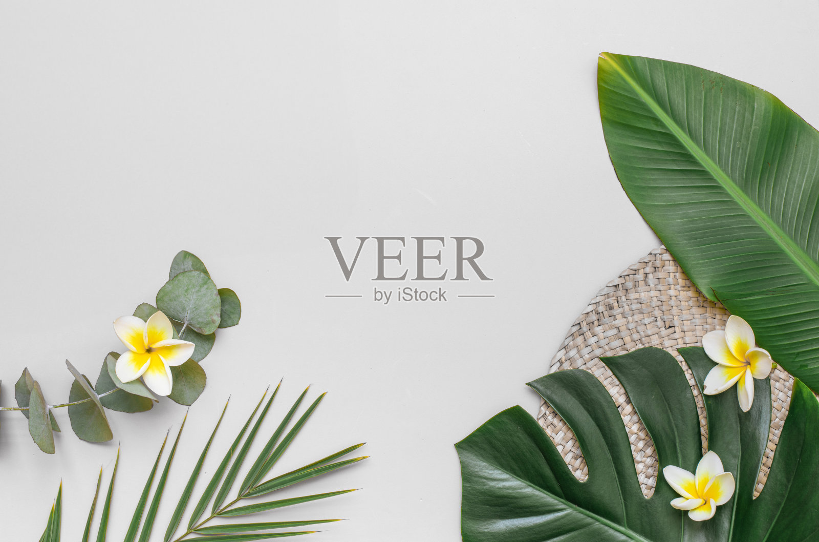 热带棕榈树叶和帽子在粉红色的背景。充满活力的简约时尚概念。照片摄影图片