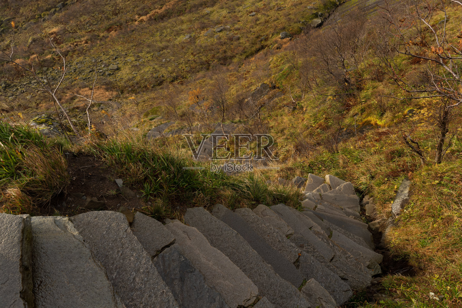通往莱因布林根山顶的石阶。前往挪威罗弗敦勒内勒内观景点的旅游路线。照片摄影图片