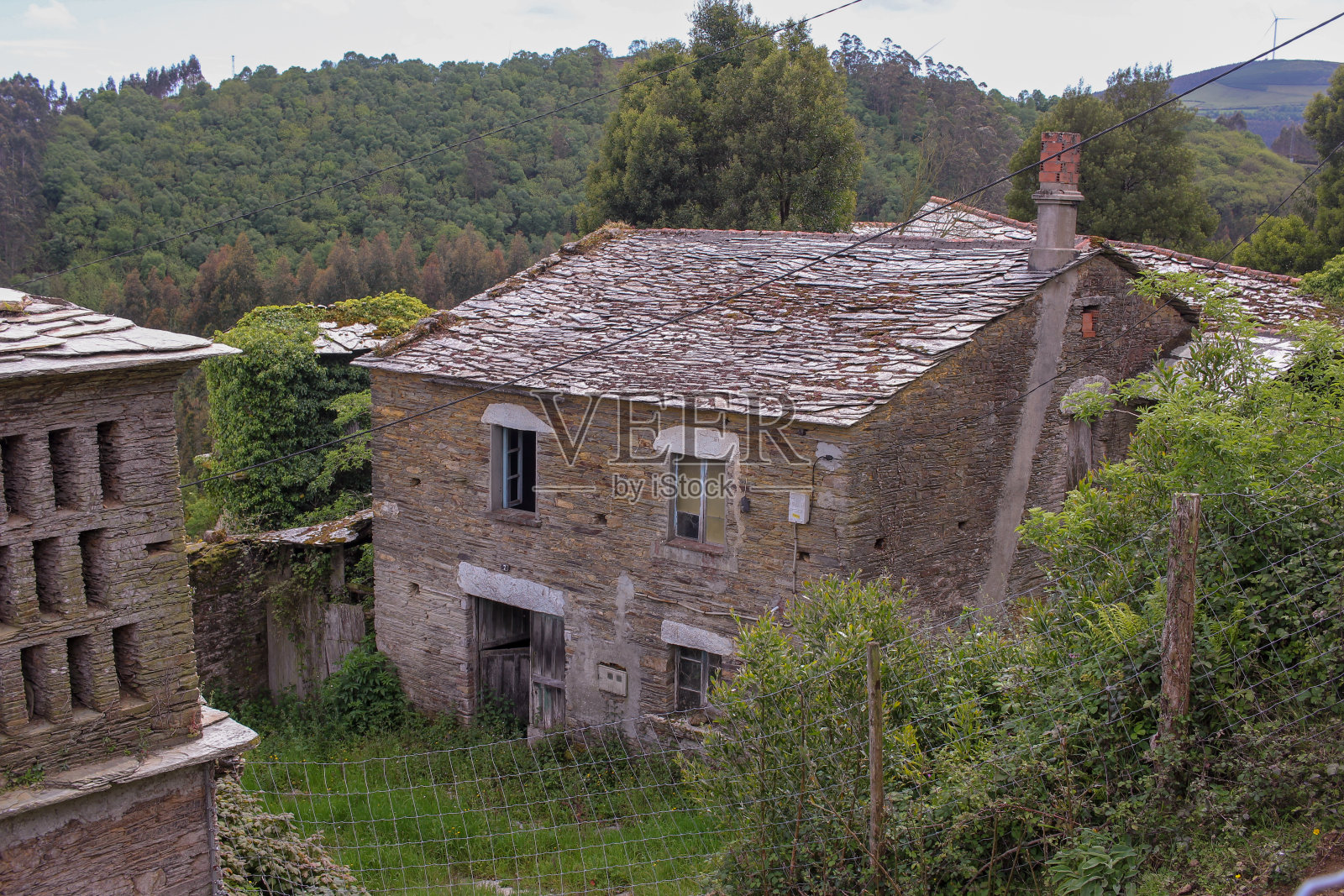 被大自然包围的废弃房屋照片摄影图片