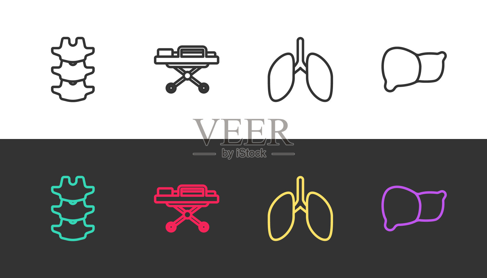 人体脊柱，担架，肺和器官肝脏黑白两色。向量插画图片素材