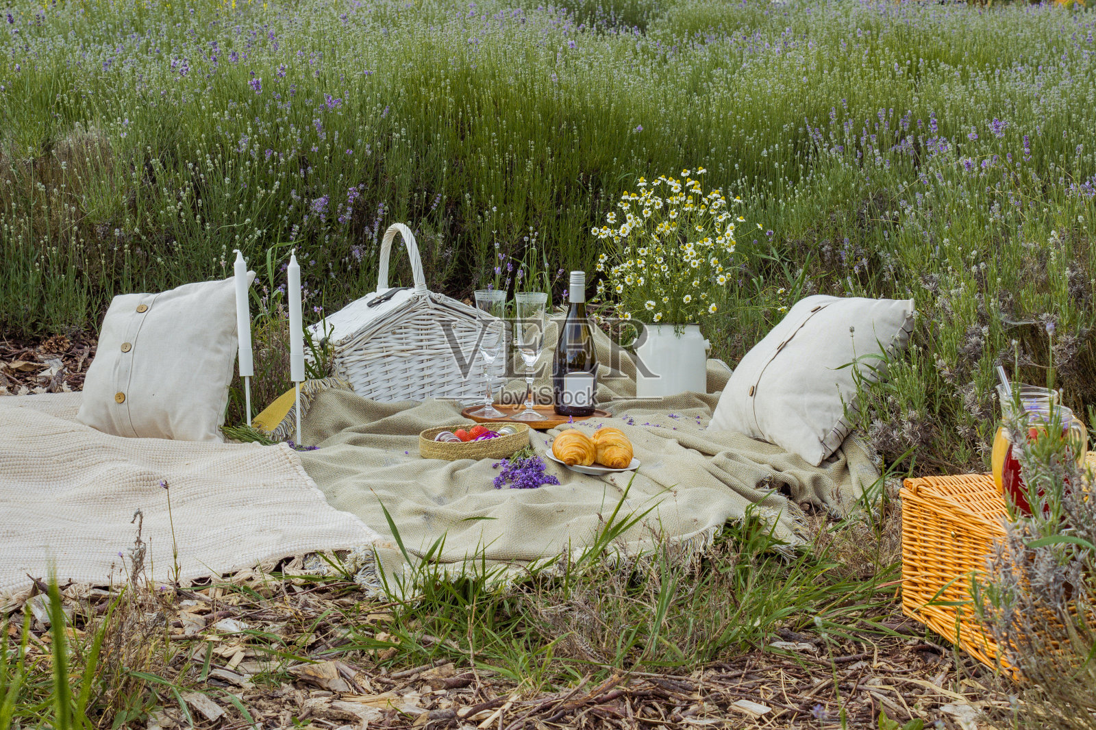 夏日野餐，美酒奶酪，薰衣草田，户外，夕阳照片摄影图片