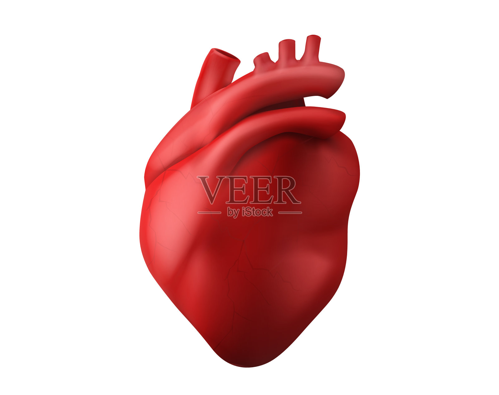 三维解剖人体心脏器官医学图标矢量插画图片素材