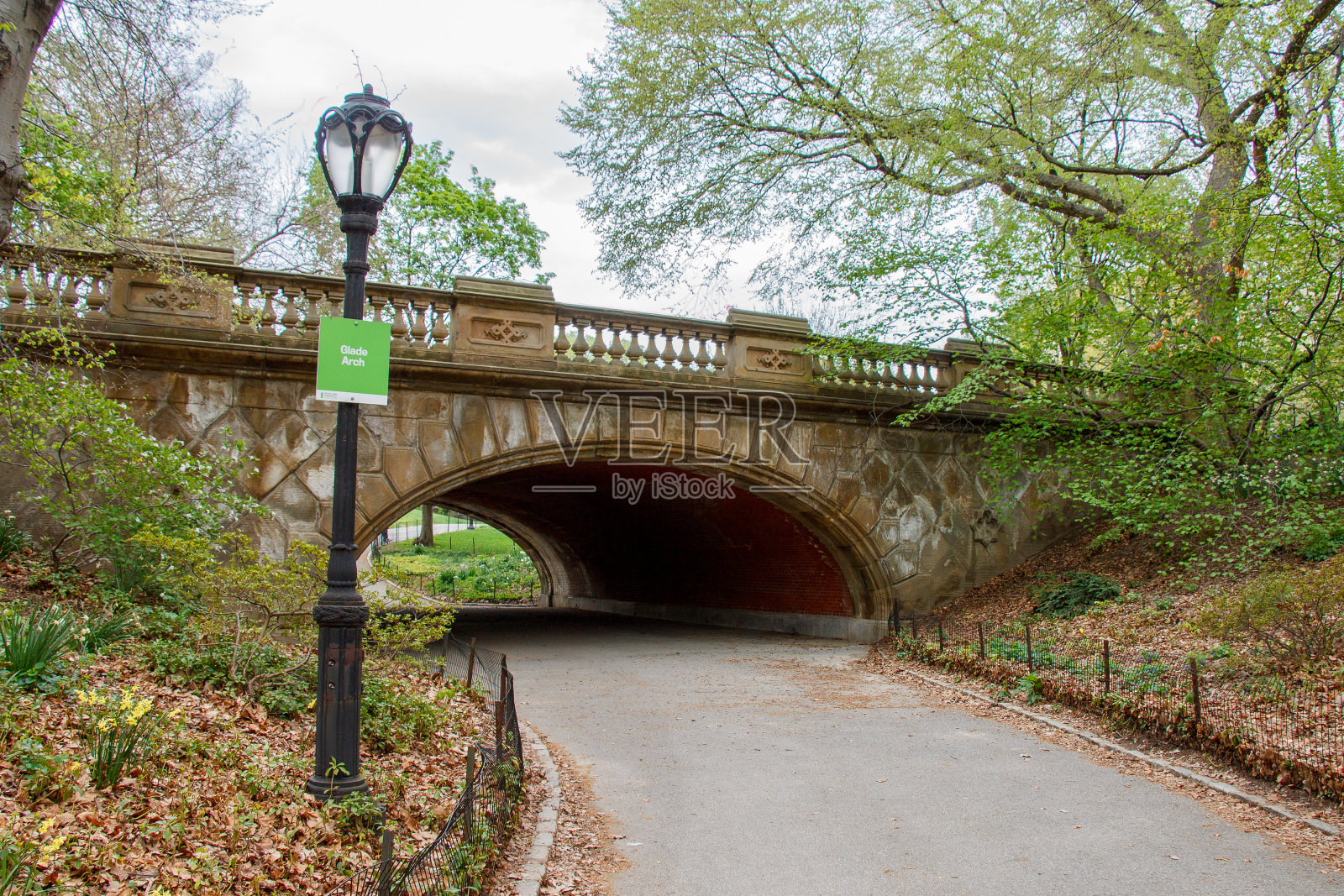 纽约中央公园的桥照片摄影图片