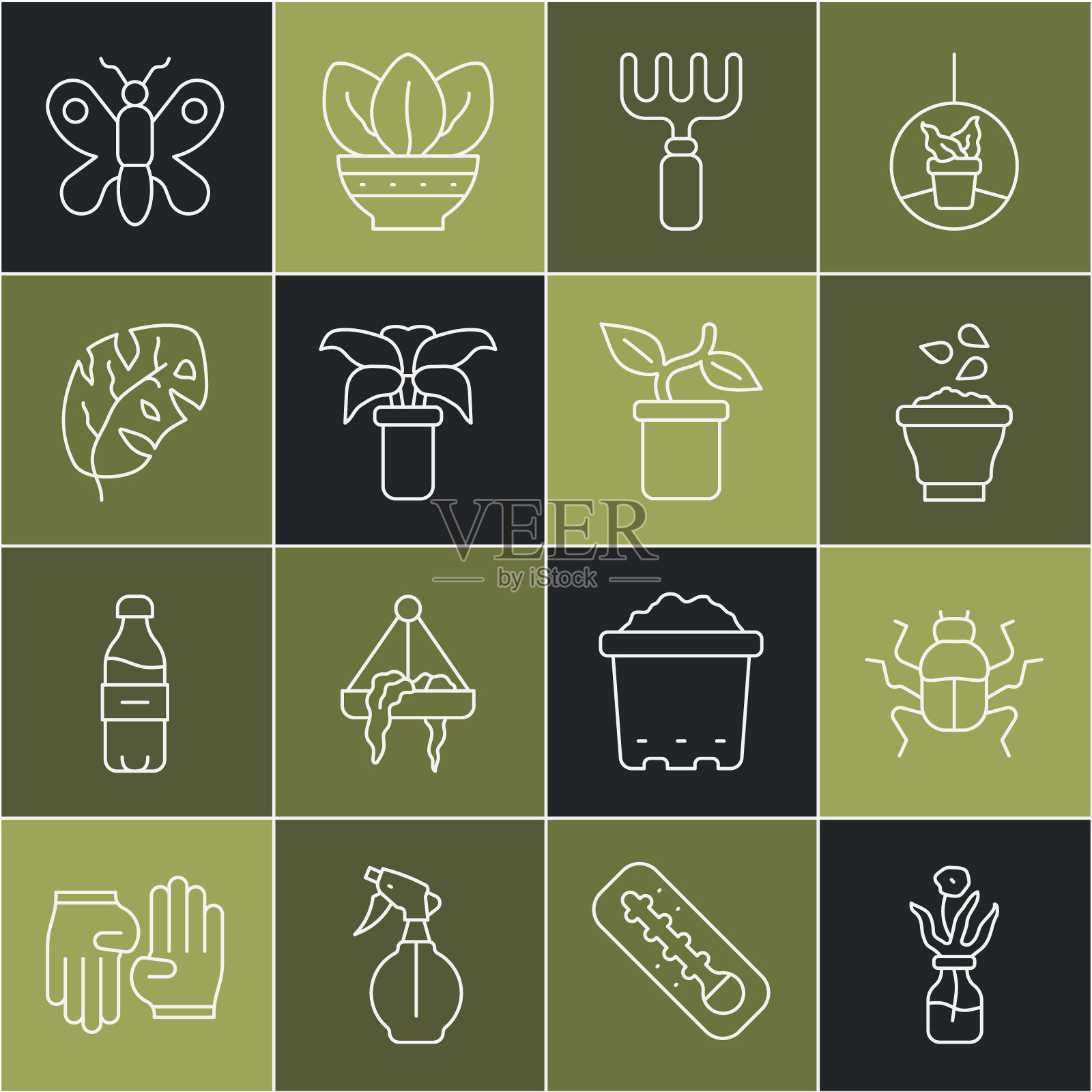 设线花在玻璃瓶，甲虫，种子碗，花园耙，异国情调的热带植物花盆，热带树叶，蝴蝶和植物图标。向量插画图片素材