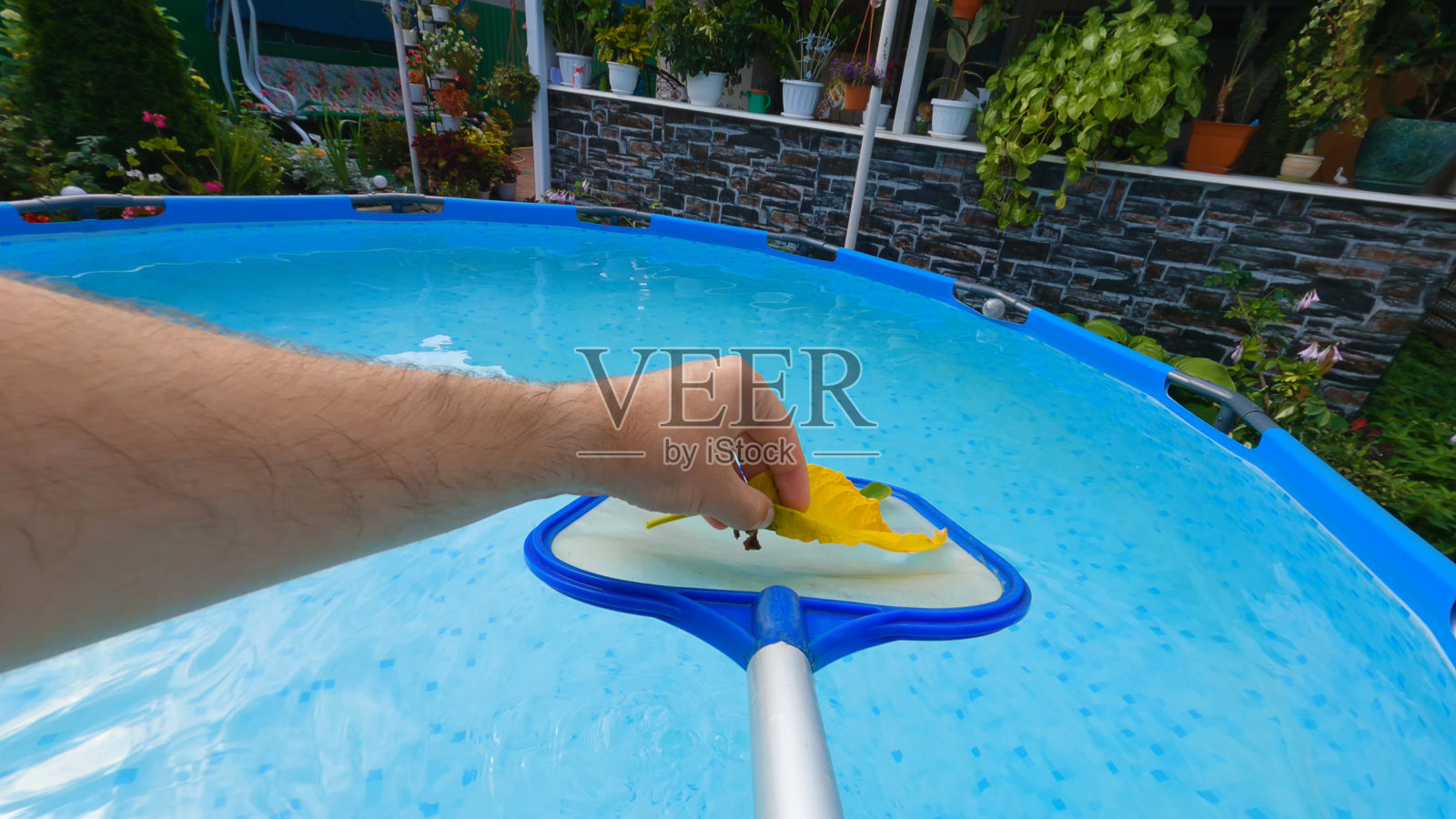 一个捕网器从游泳池表面捡起落叶的特写照片摄影图片
