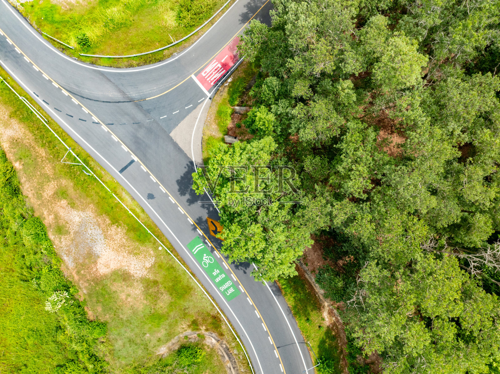 鸟瞰图无人机摄像机俯视图雨林树木生态与健康环境理念和夏季背景，绿色环境背景照片摄影图片