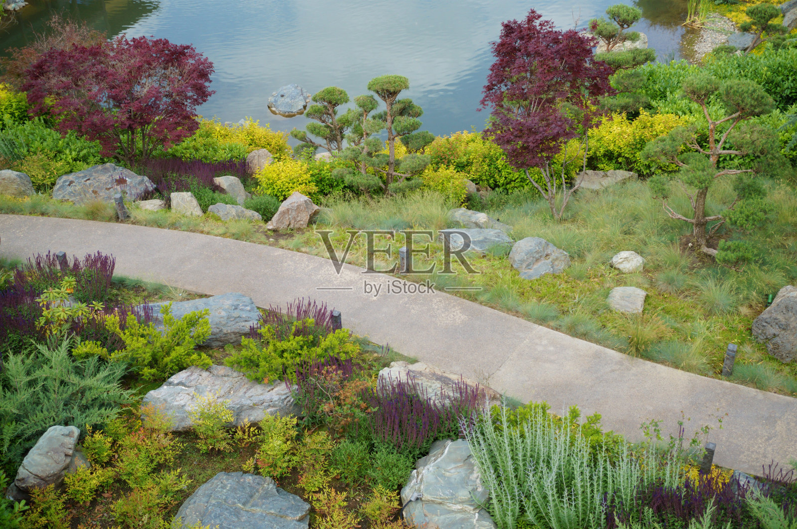 花和灌木在花园里有一条小路。照片摄影图片