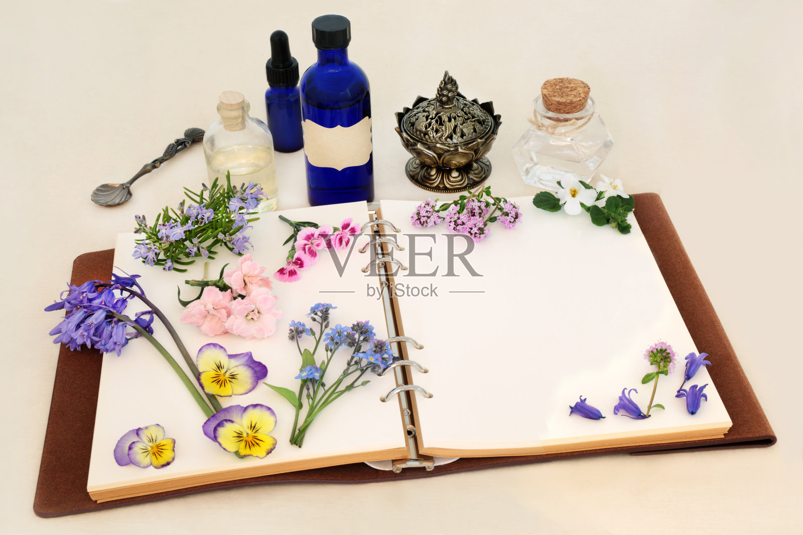 春天的花和天然草药照片摄影图片