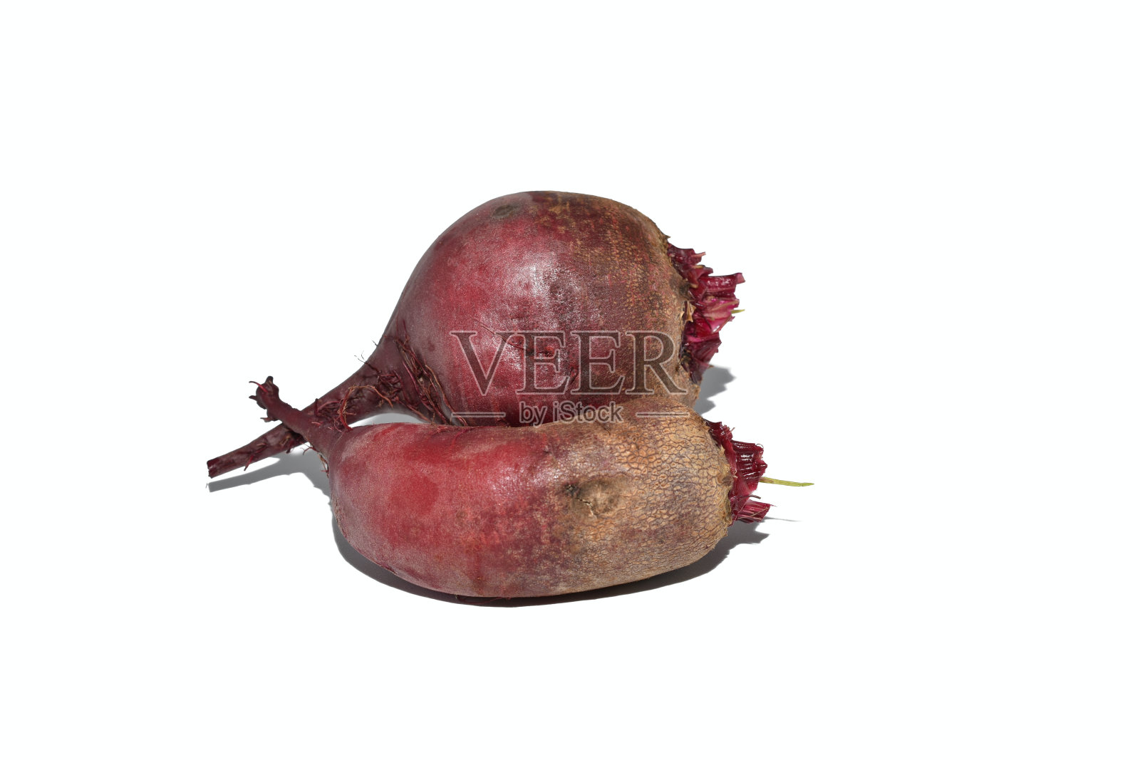 两个红甜菜。照片摄影图片