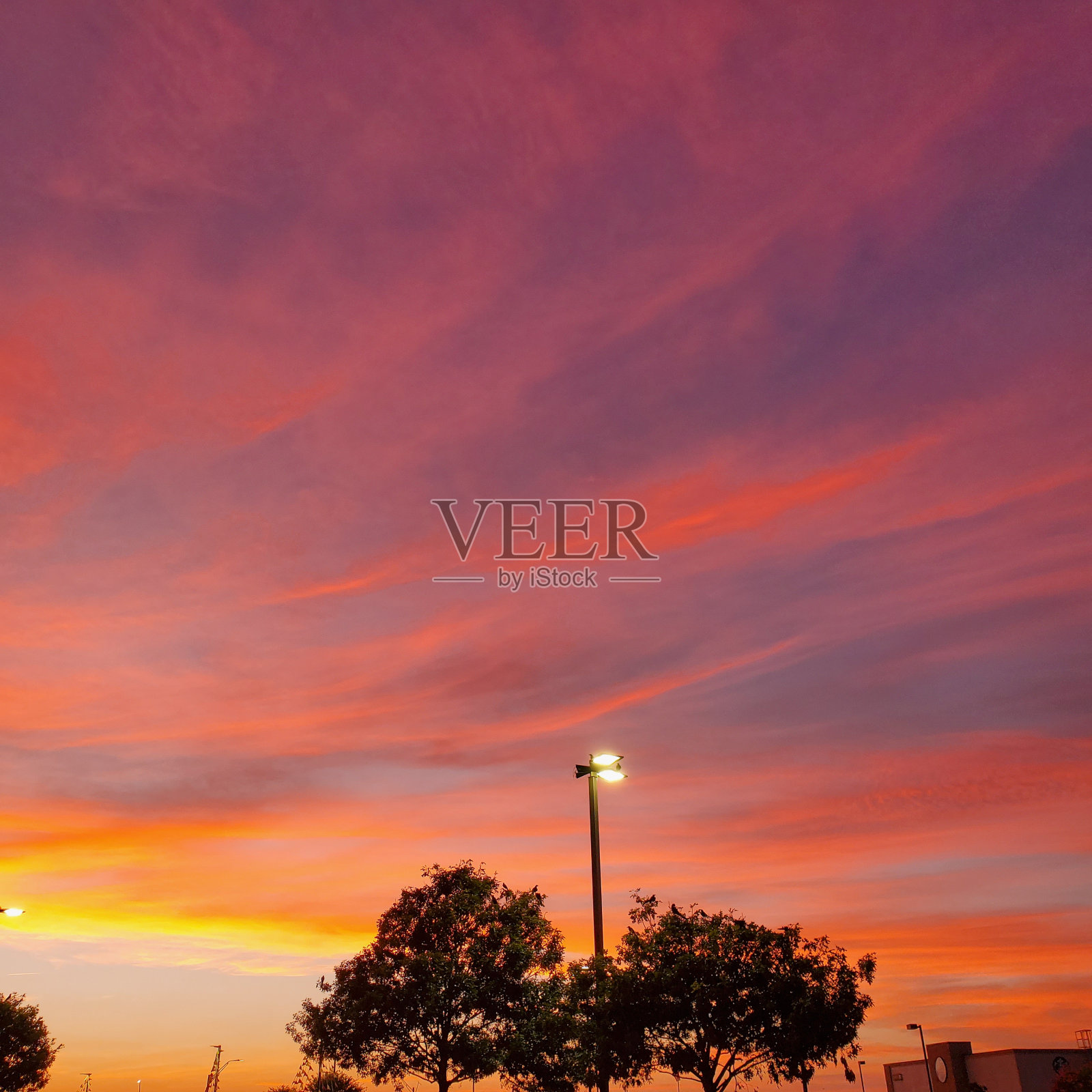 泰瑞,Tx照片摄影图片