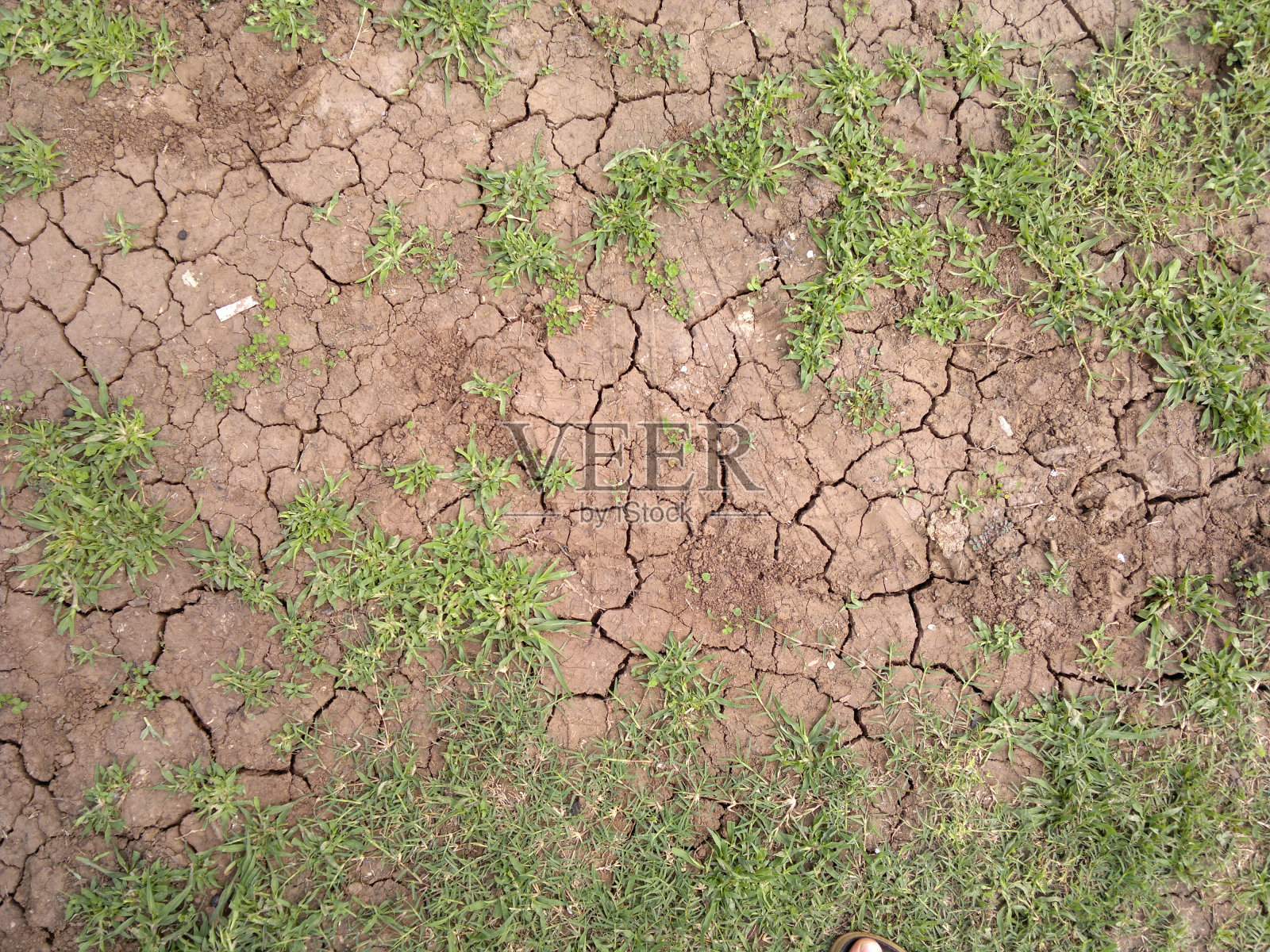 有少量草的干裂地面照片摄影图片