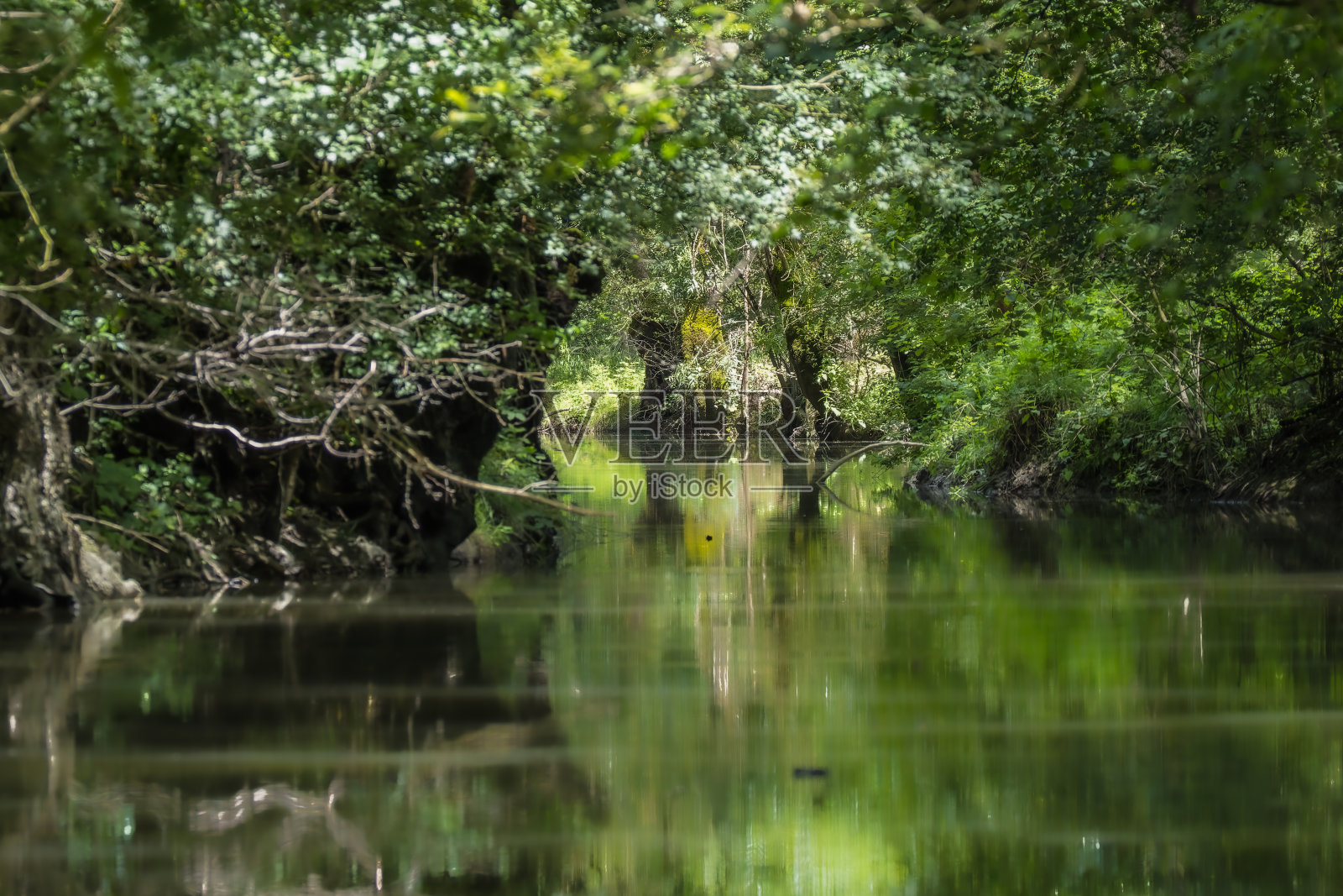 法国西部的普瓦特万沼泽照片摄影图片