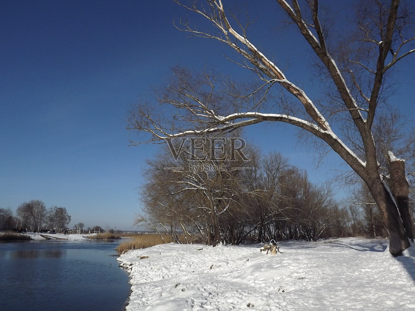 冬天的风景。河流与森林照片摄影图片