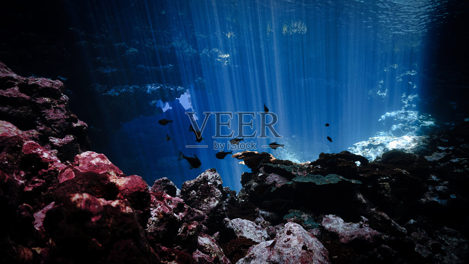 深蓝色海洋中洞穴内的光线照片摄影图片